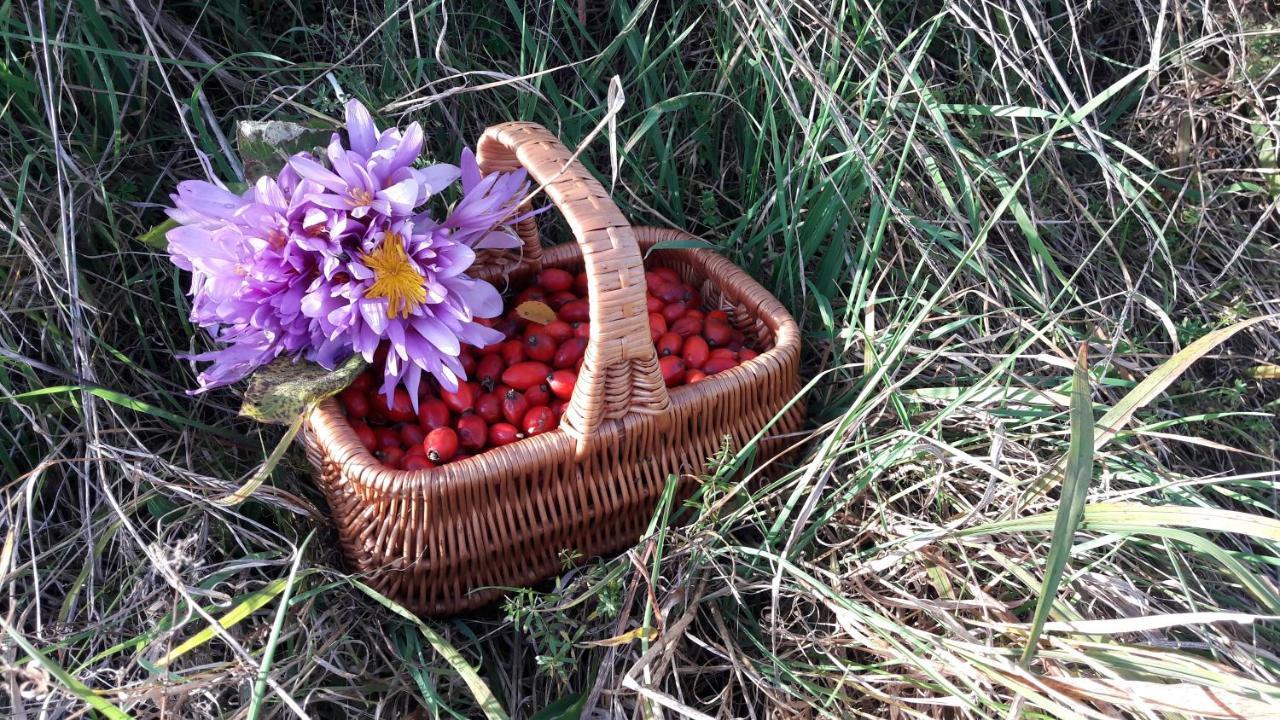 הוילה Stará Lesná Zeleny Dom Vysoke Tatry מראה חיצוני תמונה